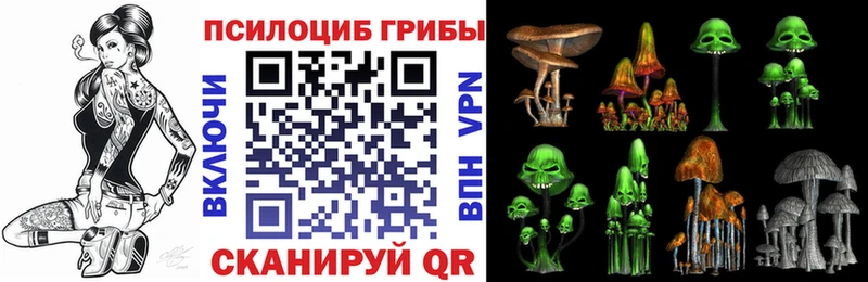 Галлюциногенные грибы ЛСД  Купить закладки  Сосновый Бор 